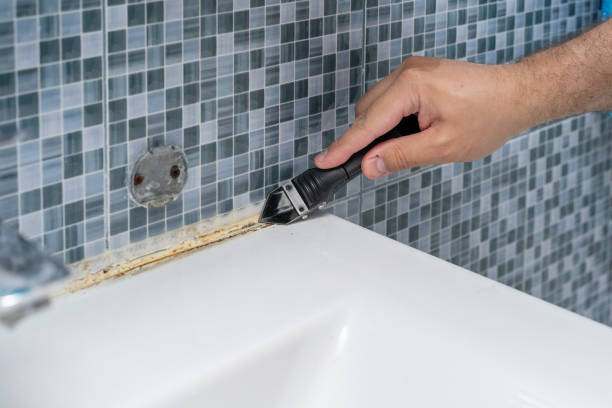 Best Local Mold Removal Service  in Burnt Mills, MD