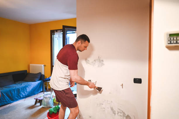 Best Local Mold Removal Service  in Burnt Mills, MD