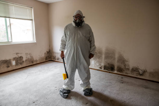 Best Mold Testing  in Burnt Mills, MD